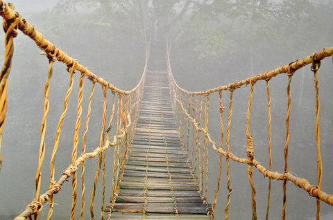 contact Sylvia Oudshoorn